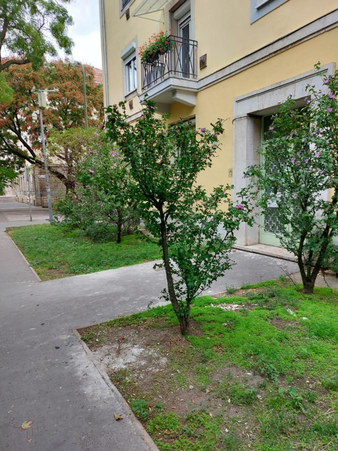 Family Friendly Apartman 布达佩斯 外观 照片